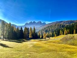 autunno al rifugio flora alpina