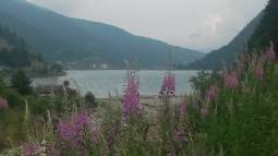 pontechianale lago
