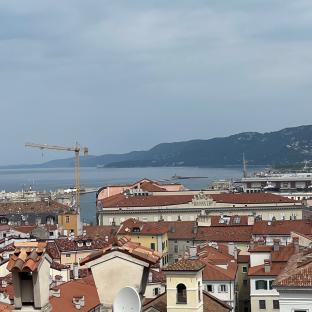Fotosegnalazione di Trieste