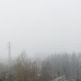 Nebbia