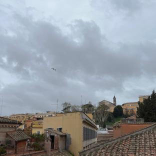 Cloudy. looking towards san pietro in montorio.