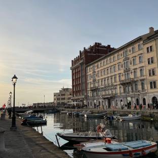 Fotosegnalazione di Trieste centro