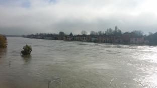 Pavia