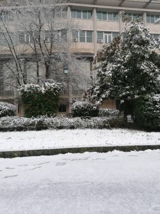 Neve ad avellino 26 febbraio 2022