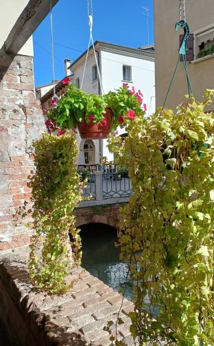 meravigliosa Treviso