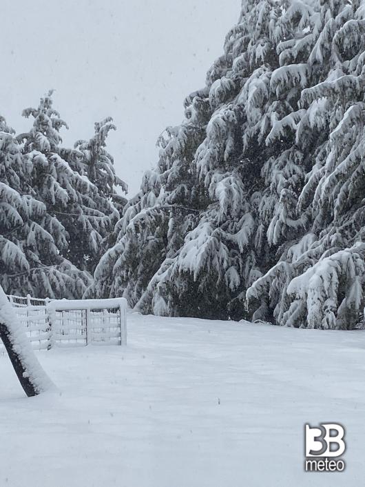 neve
