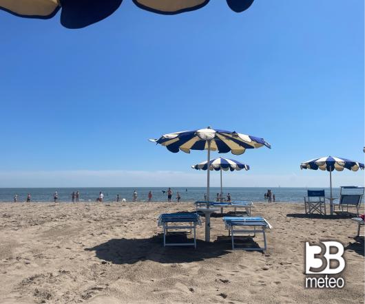 Rosolina mare