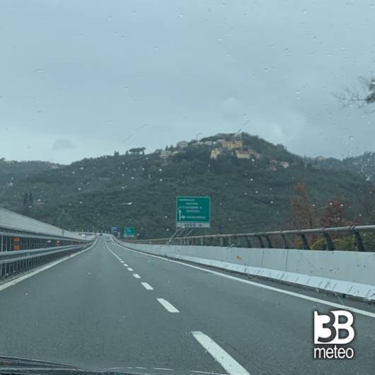 Massarosa