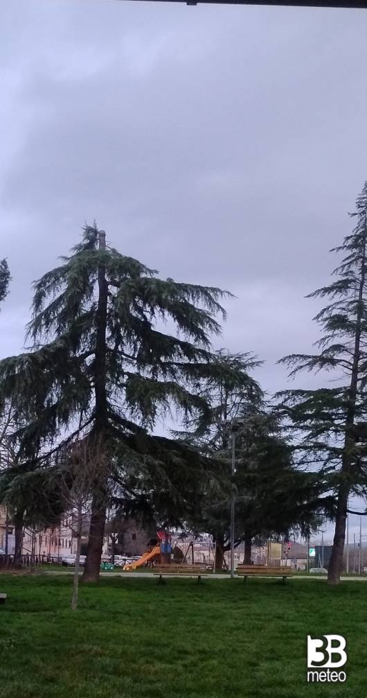 la massa forza