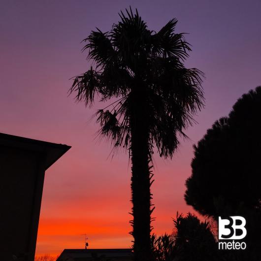 Alba a Vittuone