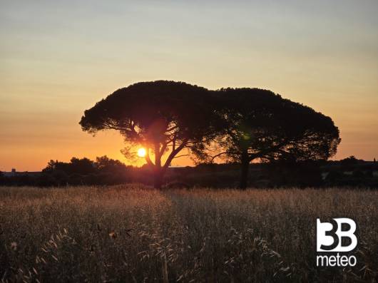 19maggio2025