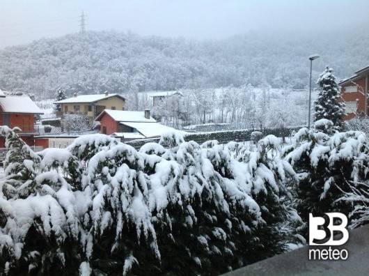 bianco mattino