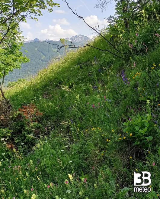 bellissima bardonecchia