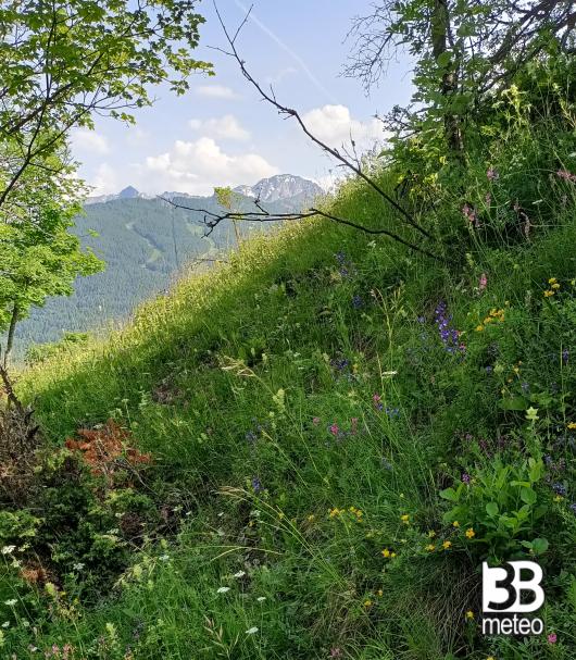 Bellissima Bardonecchia