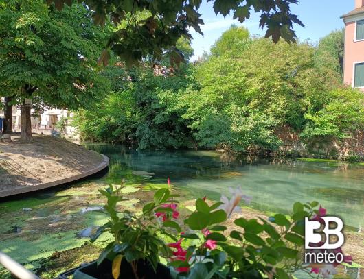 pescheria a Treviso
