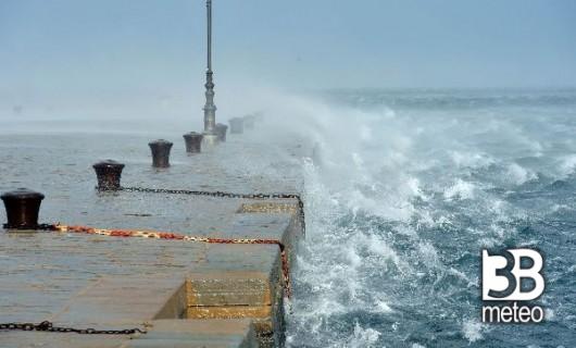 Trieste