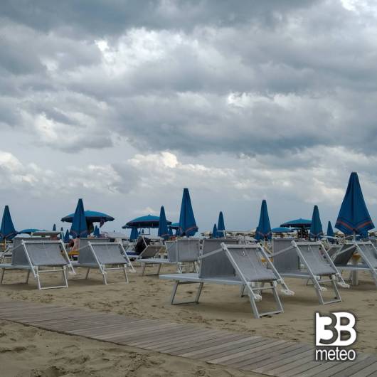 Bellaria igea marina