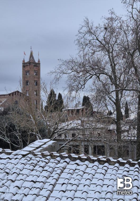 basilica dei servi