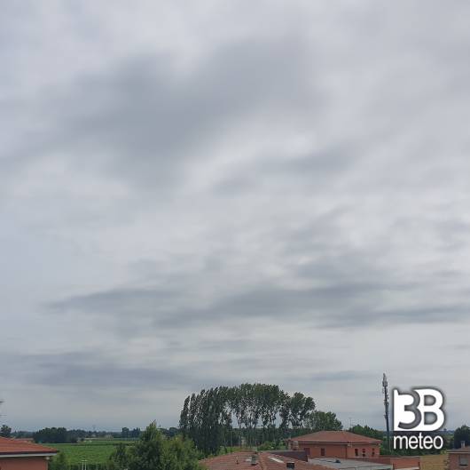 Limidi