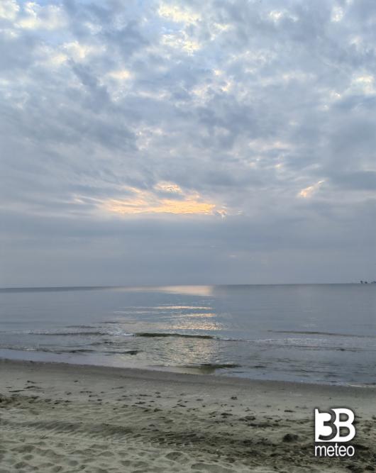 mare