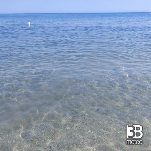 mare