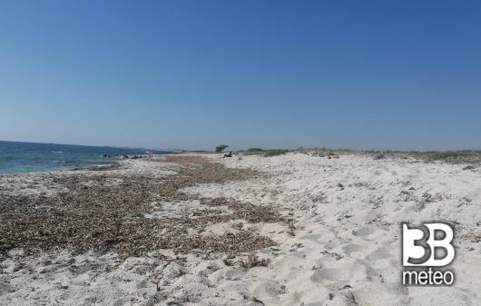 spiaggia quarzo o chicco di riso