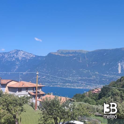 Tremosine