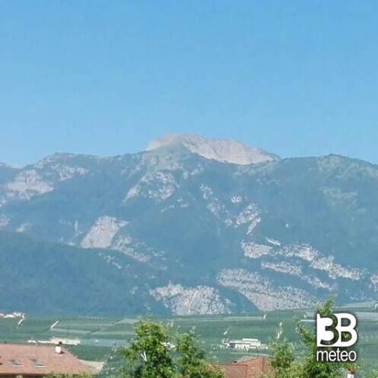monte peller