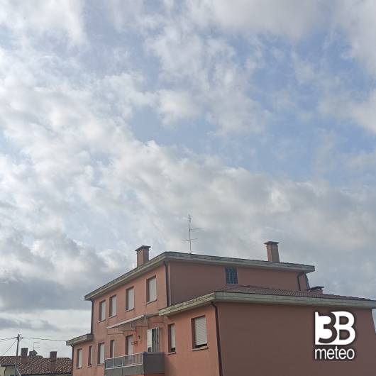 Campagna lupia