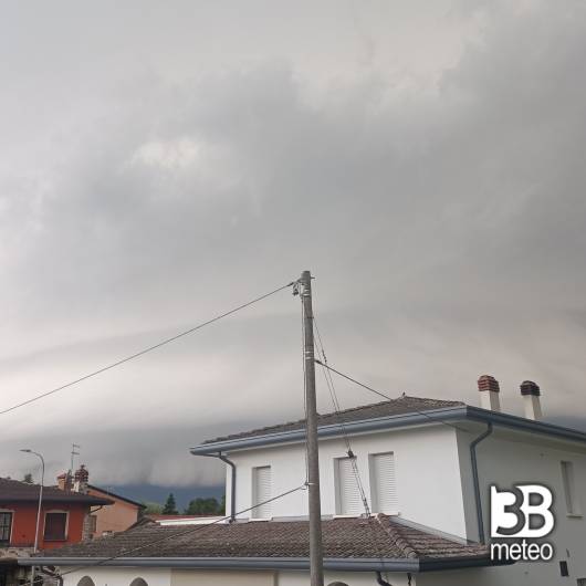 Campagna lupia