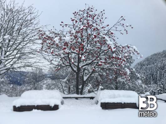 Tanta neve