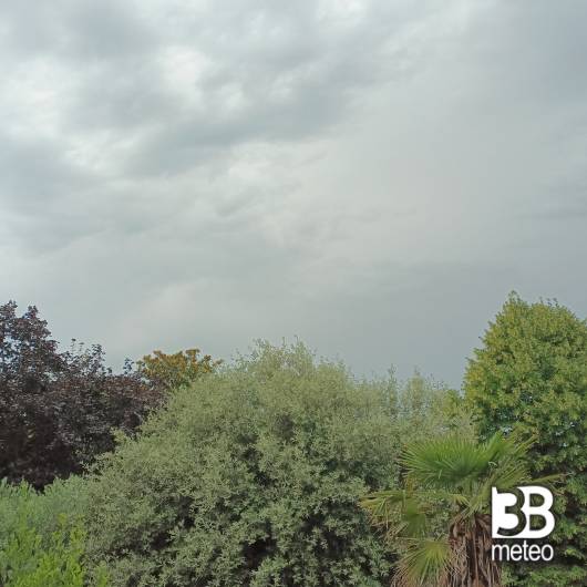 Cavarzere