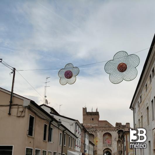 Cittadella