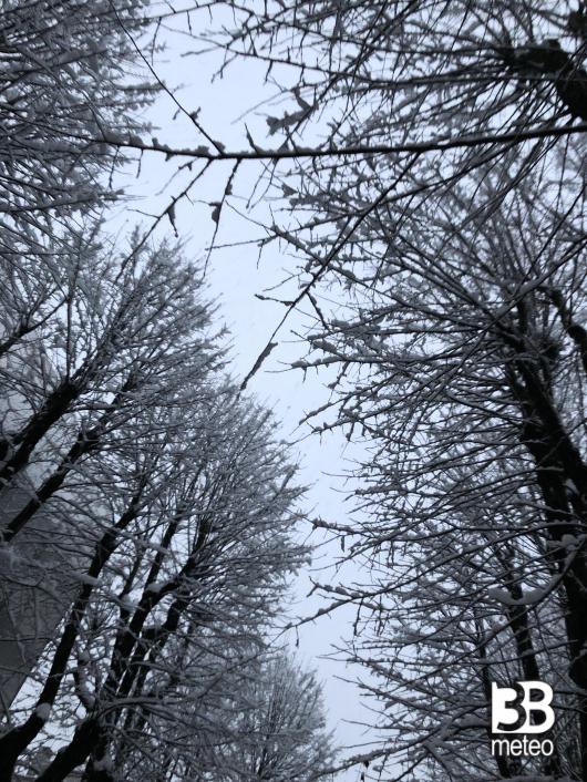 Immacolata con la neve