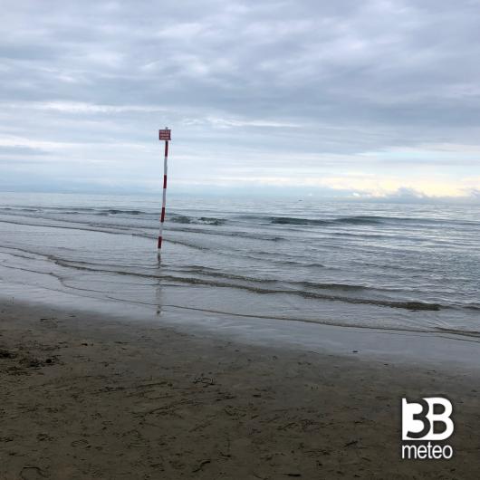 Lignano pineta