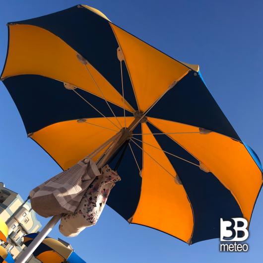 Bellaria igea marina
