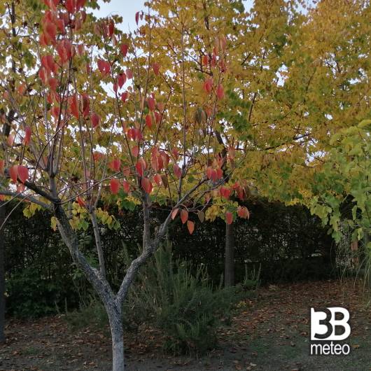 Colori dell'autunno