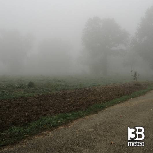 nebbia in valpadana