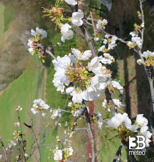 01 aprile pasquetta 2024