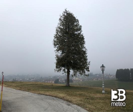 Asiago