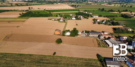 estate...