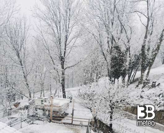 neve