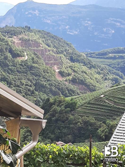 il verde cembrano