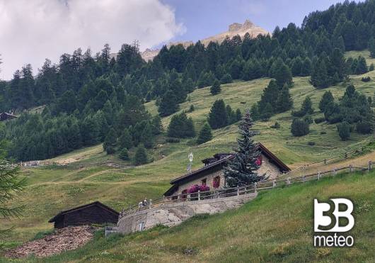 val federia