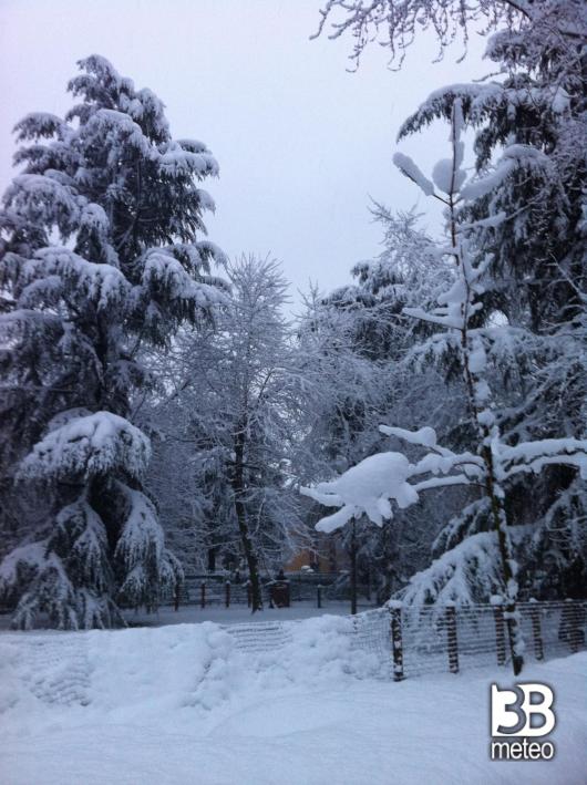 neve
