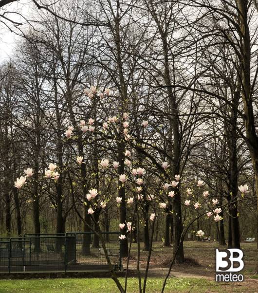 primavera parco nord
