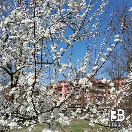 Spring is coming