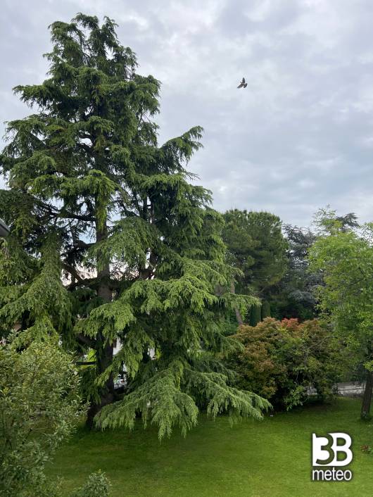 07052024 ore 1815 cielo coperto senza precipitazioni