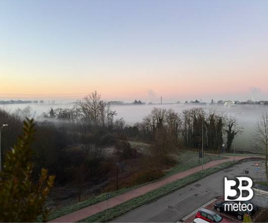 Bosco della besozza nella nebbia