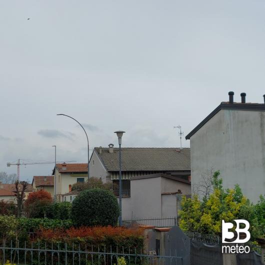 Travagliato
